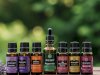 Enhancing Environments Through Strategic Scent Marketing and Aroma Solutions
