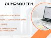 Learn How to Pass Microsoft AI Certification Exam with DumpsQueen