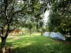 When Life Gives You Mangoes, Head to Suggee Resort