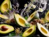 Nature’s Remedy: Discover the Power of Aromatherapy, Avocado, and Hair Nourishment