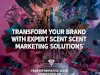 Creating Memorable Spaces with Professional Fragrance Solutions and Scent Marketing