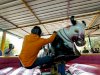From Bird Songs to Bull Rides: Find Your Happy Place