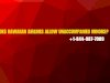 +1-844-987-7009 | Does Hawaiian Airlines allow unaccompanied minors?