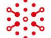 Custom Software Development Company Dubai Build the Future with xautonomous