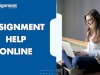 Top 5 Apps To Solve Assignments Faster Every Student Must Know 