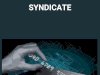 The Rise and Fall of a Dark Web Credit Card Syndicate