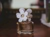 Perfume Shopping Guide: Online vs. In–Store Buying 