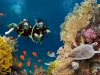 Scuba Diving in Dubai: Dive into the Depths of the Desert Jewel