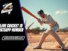 Online Cricket ID WhatsApp Number – Play All Your Favorite Games Fast 