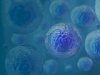 What Are the Benefits of Stem Cell Therapy?