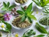 Embrace Natural Radiance: Must-Have Beauty Essentials for Skin & Hair