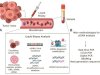 Circulating Tumor DNA (ctDNA) vs. Cell-free DNA (cfDNA)