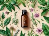 Embrace the Power of Nature: Aromatherapy Beauty Products and Skincare Essentials for Radiant Skin