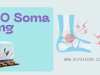Pain O Soma for Powerful Muscle Pain Relief and Relaxation