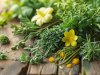 Revitalize Your Beauty Ritual with Aromatherapy and Natural Skincare Products