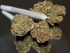 How Can You Find the Best Weed Dispensary DC Today?