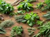 Discover the Power of Aromatherapy for Beauty and Wellness