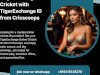 Play & Win Big on Cricket with TigerExchange ID from Cricscoops