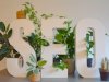 Top Benefits of Hiring Expert SEO Services in Pakistan for Small Businesses