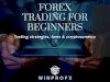 Forex Trading for Beginners: Stepwise Market Entry