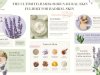 The Ultimate Guide to Buying Natural Skin Care Products for Radiant Skin