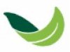 How PlantArk Helps Preserve Australia’s Native Plant Species