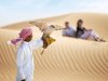 Why Tourists Prefer Premium Red Dunes Safari Over Other Desert Tours