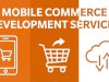 Mobile Commerce Development Strategies to Improve Mobile Shopping Conversion