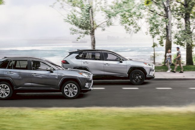 From Beaches to Mountains: Where to Go After You Rent a Car in Dubai