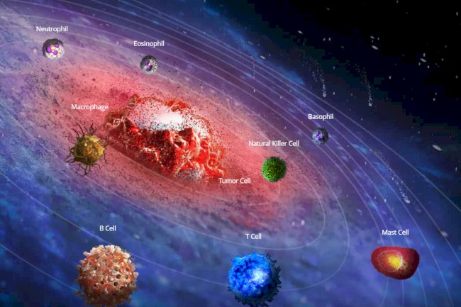 How to Boost Your Immune System Naturally