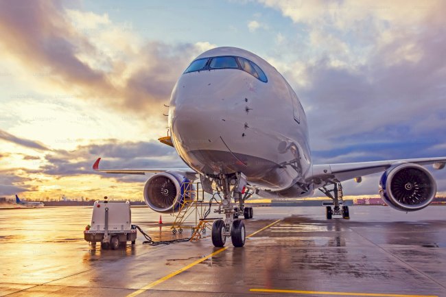 Full List of Priceline®️ Customer Service®️ Contact Numbers in USA : An Ultimate Step-by-Step Guide