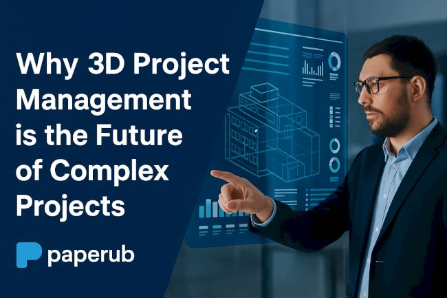Why 3D Project Management is the Future of Complex Projects?