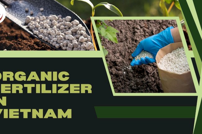 Organic Fertilizer in Vietnam: A Sustainable Farming Revolution