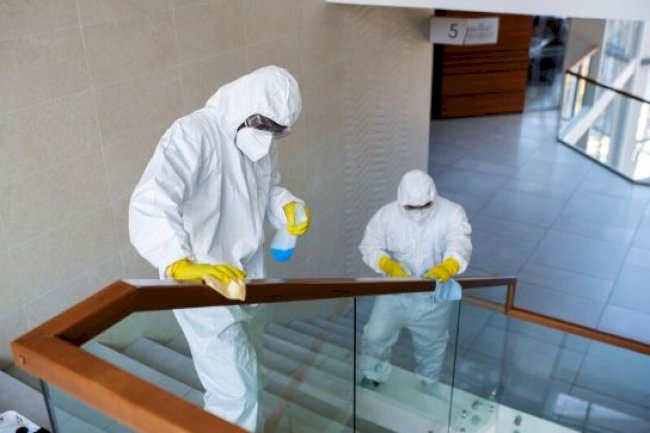  The Role of an Asbestos Remediation Contractor in Ensuring Safety