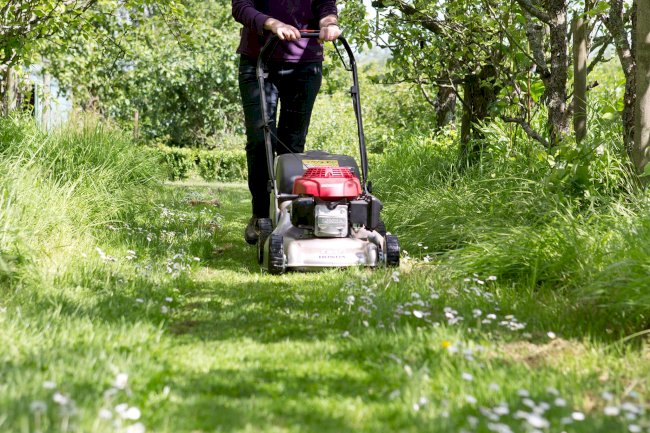 Lawn Care GA Your Complete Solution for Beautiful Atlanta Lawns