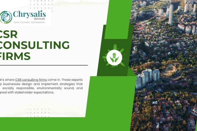 Understanding the Role of CSR Consulting Firms