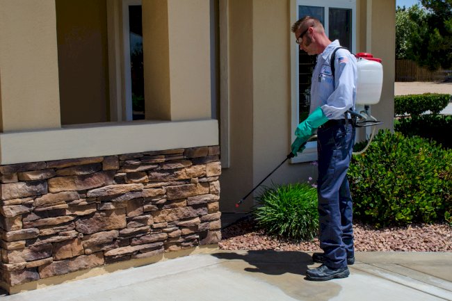 How Modern Pest Control Is Changing the Way We Protect Our Homes and Businesses