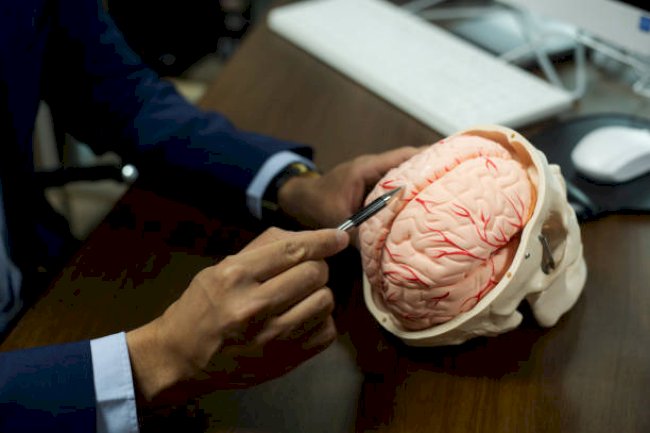 Accurate Epilepsy Diagnosis | Southern Neurology Miranda