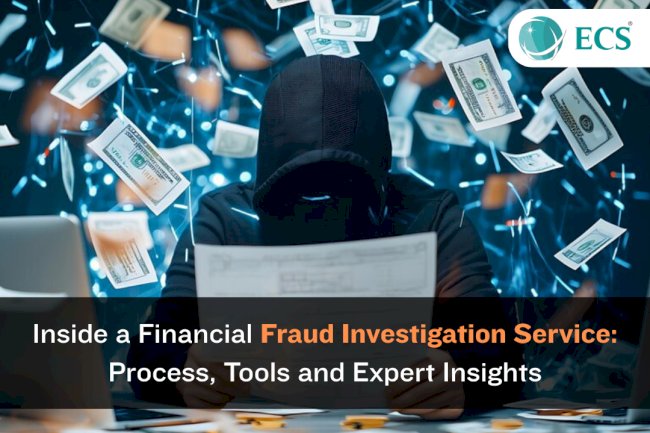 Inside a Financial Fraud Investigation Service: Process, Tools, and Expert Insights