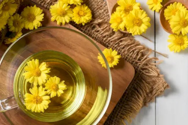 Dandelion Tea Benefits & Uses | Dandelion Price in Pakistan (2025 Guide)