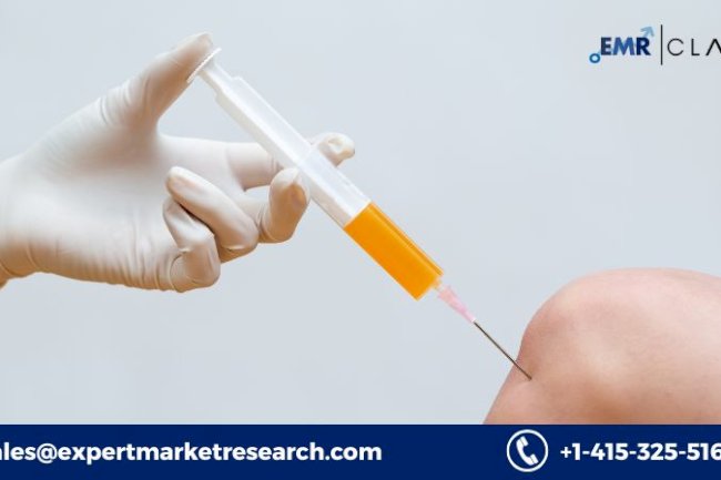 Stem Cell Therapy Market: Trend Analysis and Future Growth (2034)