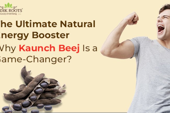The Ultimate Natural Energy Booster: Why Kaunch Beej Is a Game-Changer?