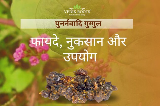 पुनर्नवादि गुग्गुल: फायदे, नुकसान और उपयोग