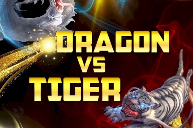  7 Winning Dragon Tiger Betting ID Strategies in India