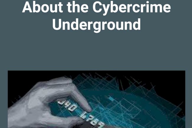 Briansclub: What the Infamous Data Leak Reveals About the Cybercrime Underground