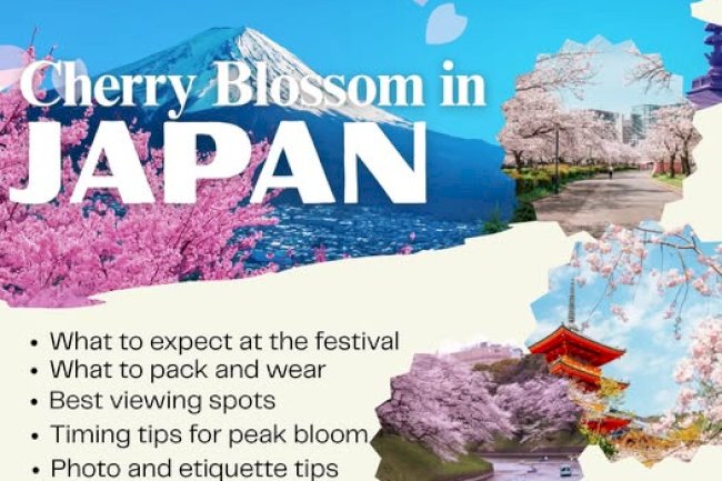 Best Japan Tours for Families – Safe, Fun & Full of Cultural Surprises