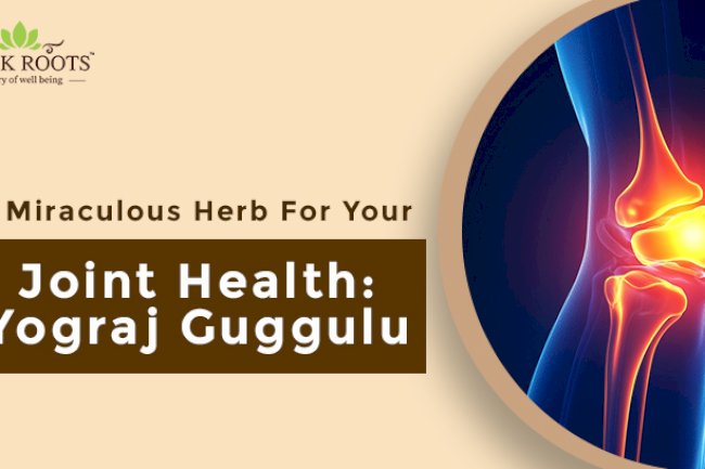 A Miraculous Herb For Your Joint Health: Yograj Guggulu