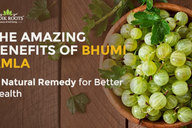 The Amazing Benefits of Bhumi Amla: A Natural Remedy for Better Health