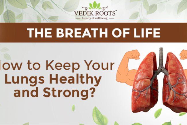 The Breath of Life: How to Keep Your Lungs Healthy and Strong?