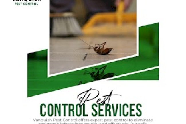 Comprehensive Pest Control Services for a Safer Environment